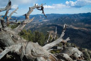 rocky-mountain-national-park-deer-mountain-trail