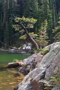 rocky-mountain-national-park-emerald-lake-trail-2