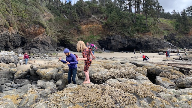 Heceta Head Lighthouse tide pools