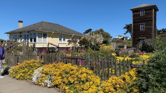 Mendicino, California  flowers